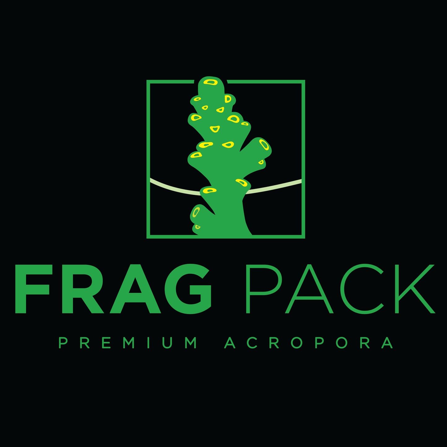 Classics - STICK HUNTER