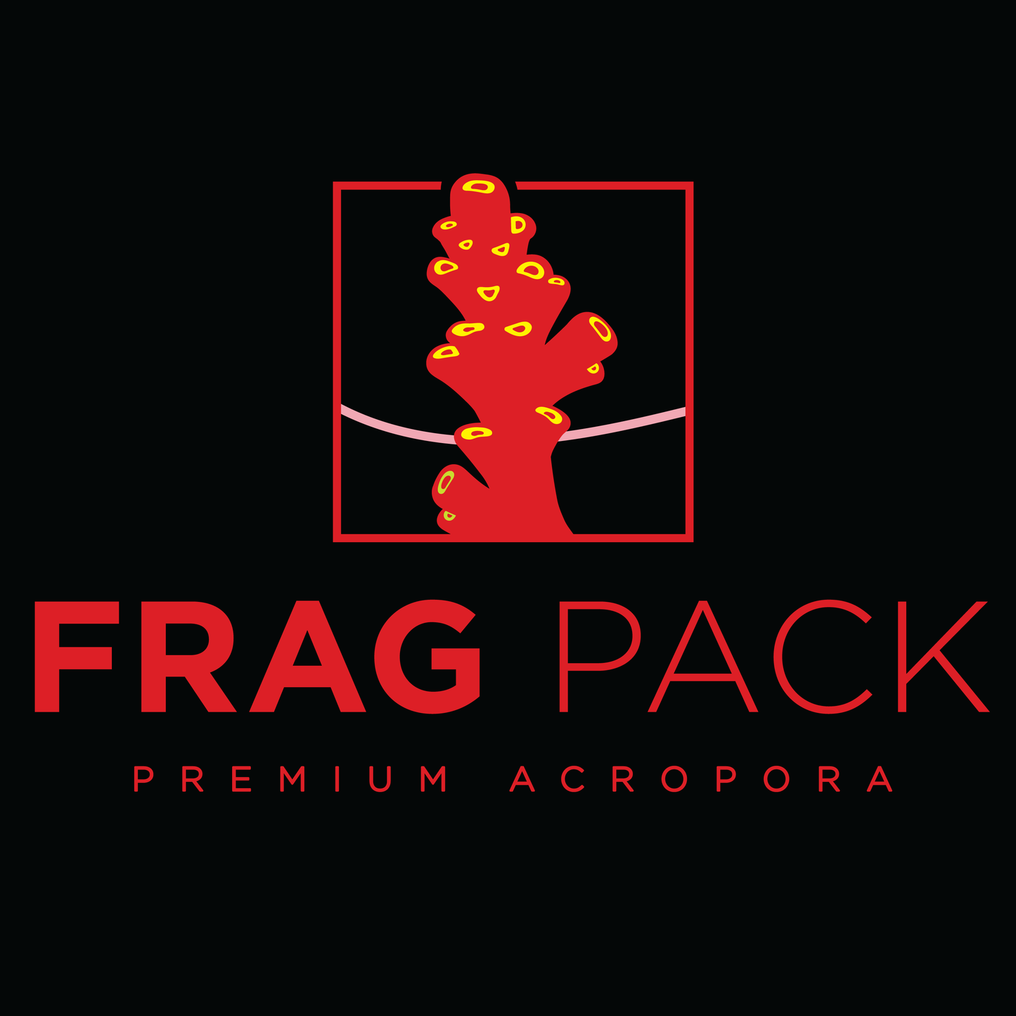 Smoothies - ACROMANCER